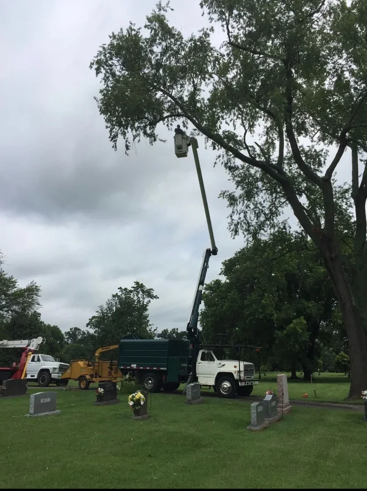 Bucket truck removing large tree with chip truck and equipment on-site