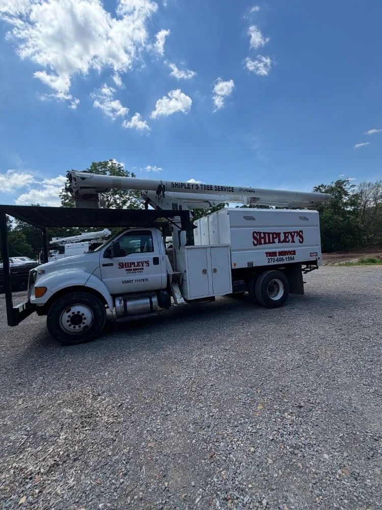 White bucket truck with extended boom arm for tree service work