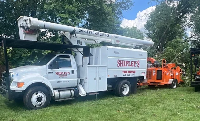 White bucket truck with extended boom and orange wood chipper on grass